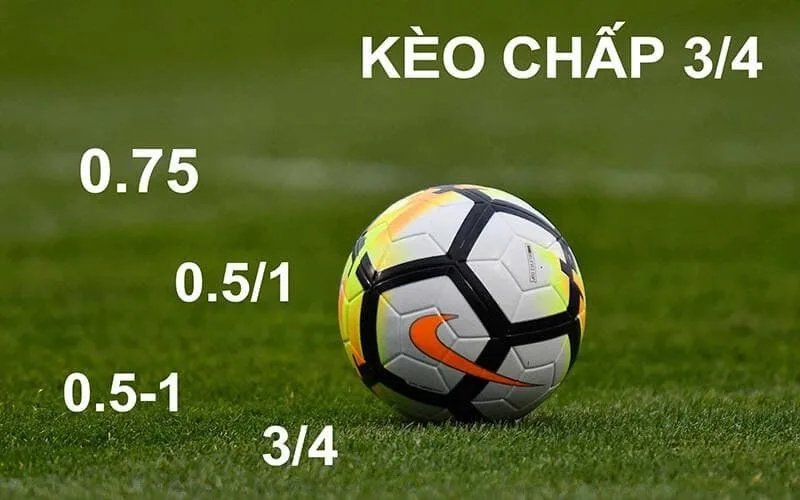 Hướng dẫn đọc kèo 0.75 trái