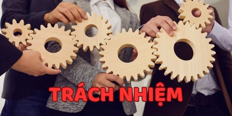 Trách nhiệm người dùng trong việc tuân thủ các quy định